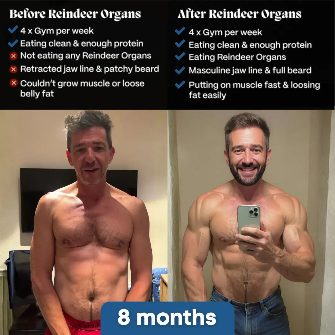 Arctic Reindeer Testosterone Support