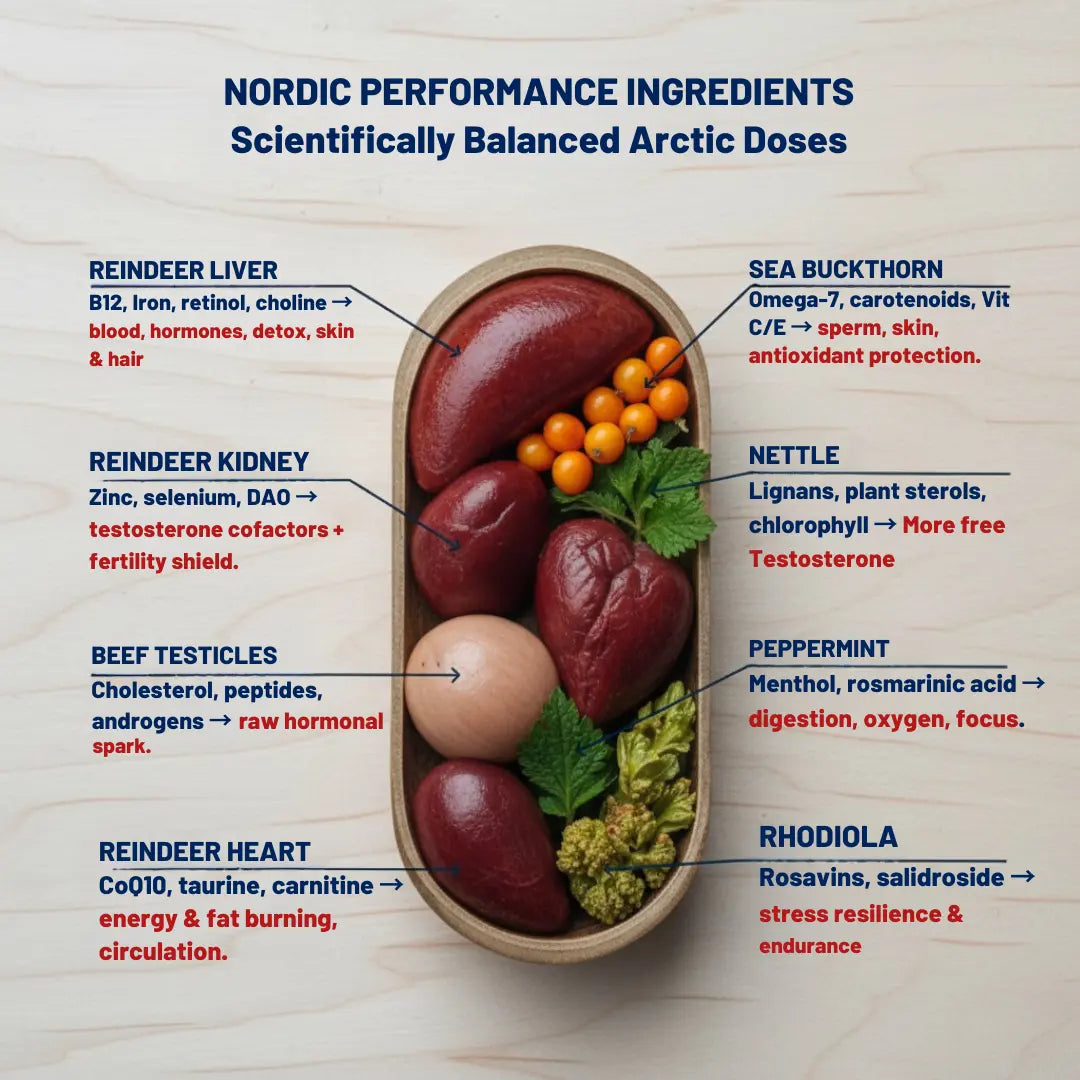 Arctic Reindeer Testosterone Support